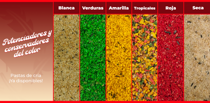 pastas de cria